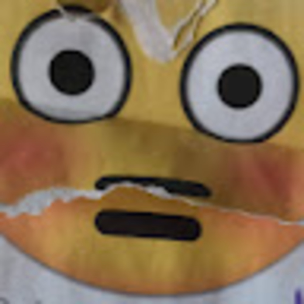 Meet your Posher, Melisa